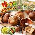 Organic Roasted Chestnuts in Shell Halal Snacks